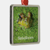 Kikker in groene algen metalen ornament (Rechts)