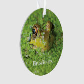 Kikker in groene algen ornament (voorkant)