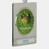 Kikker in groene algen verzilverd banner ornament (Rechts)