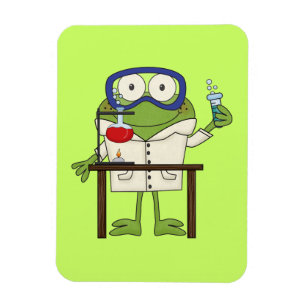 Kikker in het Laboratorium van de Wetenschap Magneet