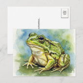 Kikker in het zonlicht Briefkaart voor Postcrossin (Voorkant / Achterkant)