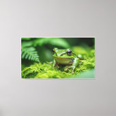 Kikker in nieuw bos Mossy ondergroei Canvas Afdruk (Voorkant)