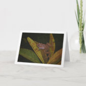 Kikker in vijverportret kaart (Voorkant)