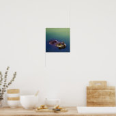 Kikker in water groene kikkerogen poster (Keuken)