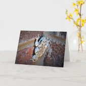 Kikker, kaart (Gele Bloem)