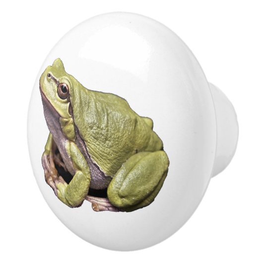 Kikker Keramische Knop (Rechts)