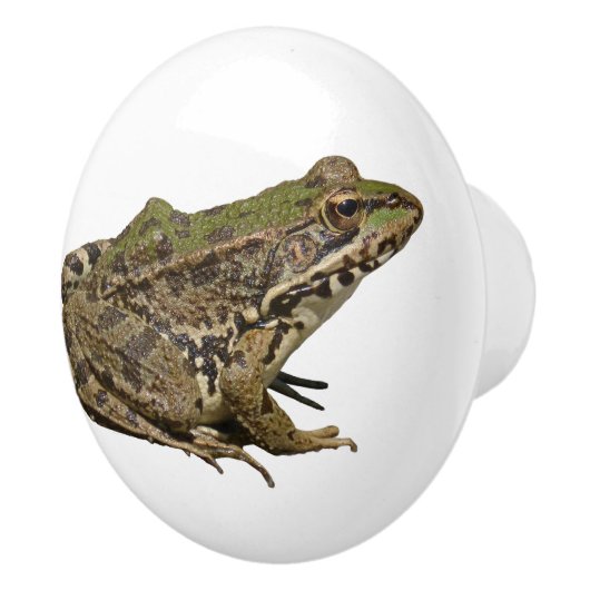 Kikker Keramische Knop (Rechts)