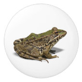 Kikker Keramische Knop (Voorkant)