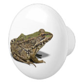 Kikker Keramische Knop (Rechts)