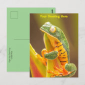 Kikker | Kikker van de tijgerbeen-apen op maat Briefkaart (Voorkant / Achterkant)