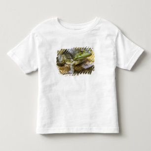Kikker langs de Buffalo-rivier, mijl 126 aan de Kinder Shirts