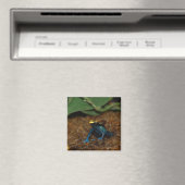 Kikker Magneet (Insitu (Vaatwasser))