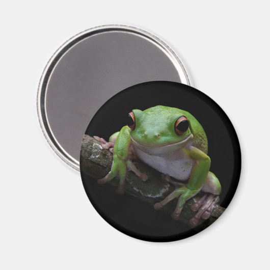 Kikker Magnet (Voorkant / Achterkant)