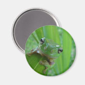 Kikker Magnet (Voorkant / Achterkant)