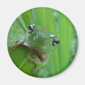 Kikker Magnet (Voorkant)