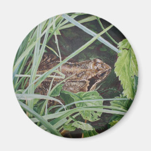 kikker magnet