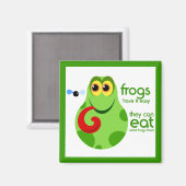 Kikker Magnet (Voorkant / Achterkant)