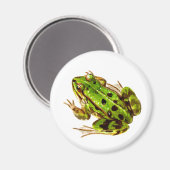 Kikker Magnet (Voorkant / Achterkant)