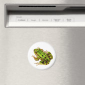 Kikker Magnet (Insitu (Vaatwasser))