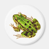 Kikker Magnet (Voorkant)