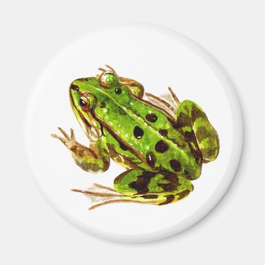 Kikker Magnet (Voorkant)