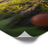 Kikker met computeringang poster (Hoek)