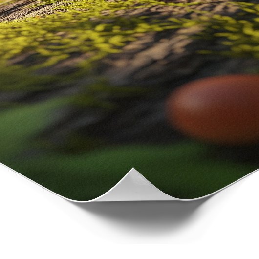 Kikker met computeringang poster (Hoek)