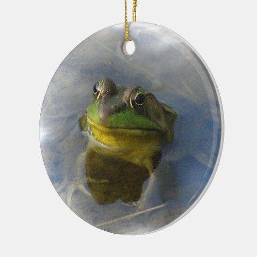 Kikker met hoogte keramisch ornament (Links)