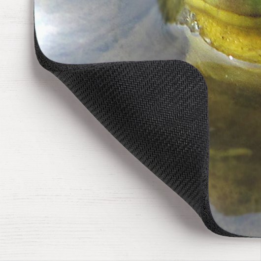 Kikker met hoogte muismat (Hoek)