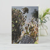 Kikker met kikkervisgras kaart (Staand voorkant)