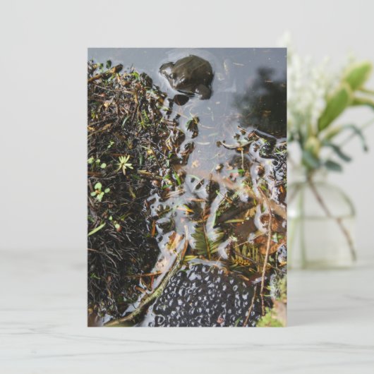 Kikker met kikkervisgras kaart (Staand voorkant)