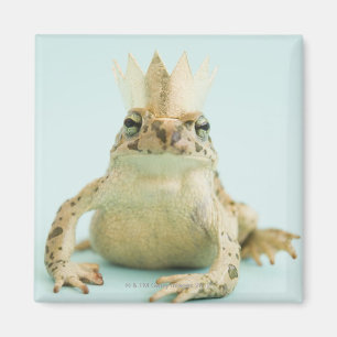 Kikker met kroon magneet