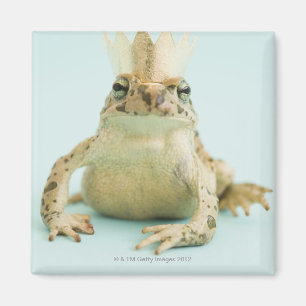 Kikker met kroon magneet