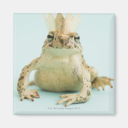 Kikker met kroon magneet (Voorkant)