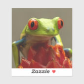 Kikker met rode ogen in Costa Rica Sticker (Vel)