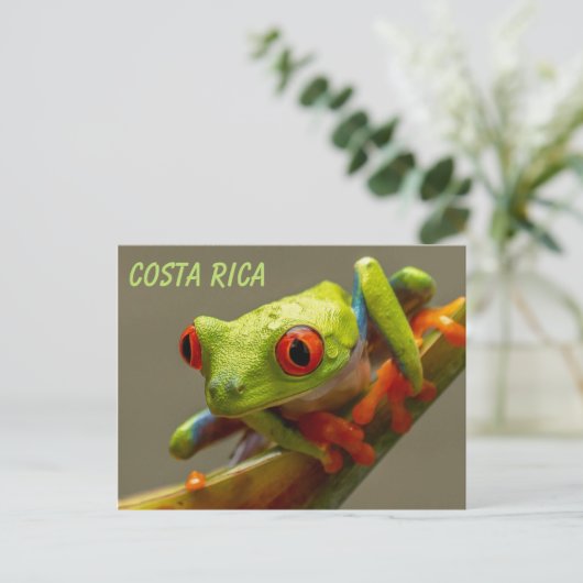 Kikker met rode ogen klaar om te springen briefkaart (Staand voorkant)