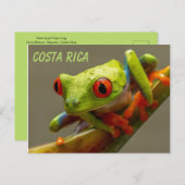 Kikker met rode ogen klaar om te springen briefkaart (Voorkant / Achterkant)