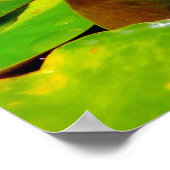 Kikker met waterLily Reflection Poster (Hoek)