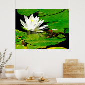 Kikker met waterLily Reflection Poster (Keuken)