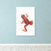 Kikker met witte streep canvas afdruk (Insitu (Houten vloer))