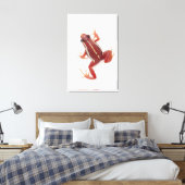 Kikker met witte streep canvas afdruk (Insitu (Slaapkamer))