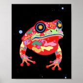 Kikker Modus Poster (Voorkant)
