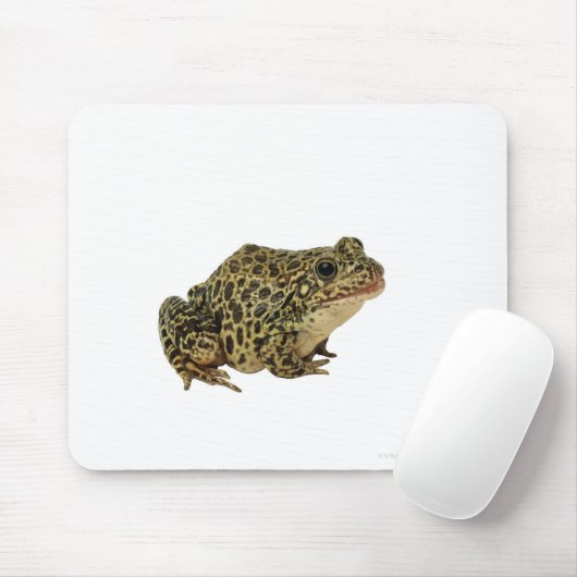 Kikker Muismat (Met muis)