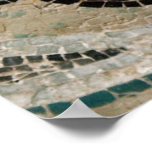 Kikker, nijlmozaïek, uit het Huis van de Faun Poster (Hoek)