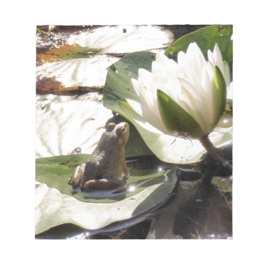 Kikker Notitieblok (Voorkant)