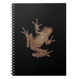 kikker notitieboek