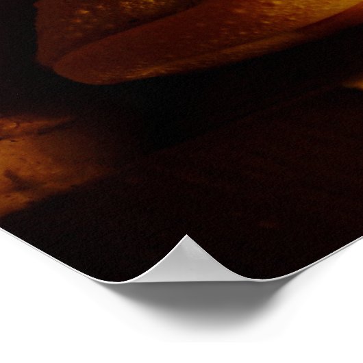 Kikker of Poster van de bijenboom (Hoek)