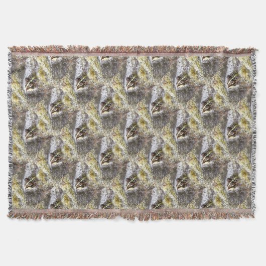 Kikker ondergedompeld in waterbellen en roofbaars deken (Voorkant)