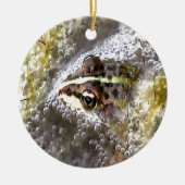 Kikker ondergedompeld in waterbellen en roofbaars keramisch ornament (Voorkant)