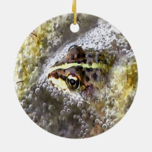Kikker ondergedompeld in waterbellen en roofbaars keramisch ornament